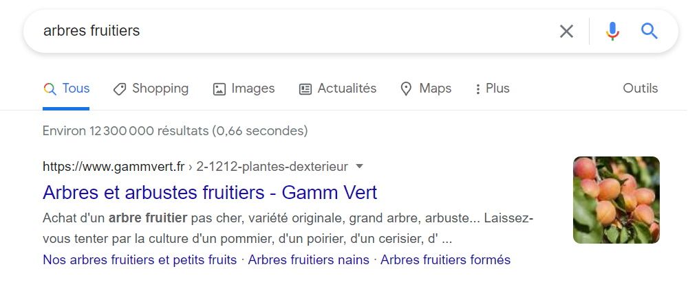 google resultat recherche